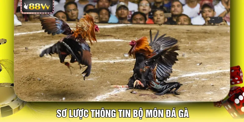 Sơ lược thông tin bộ môn đá gà