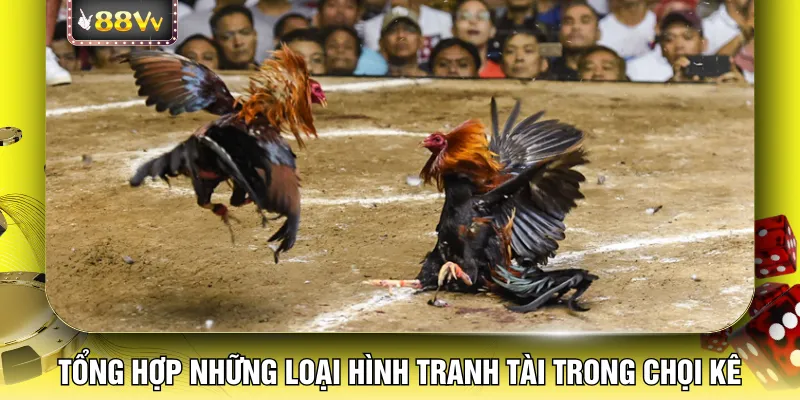Tổng hợp những loại hình tranh tài trong chọi kê